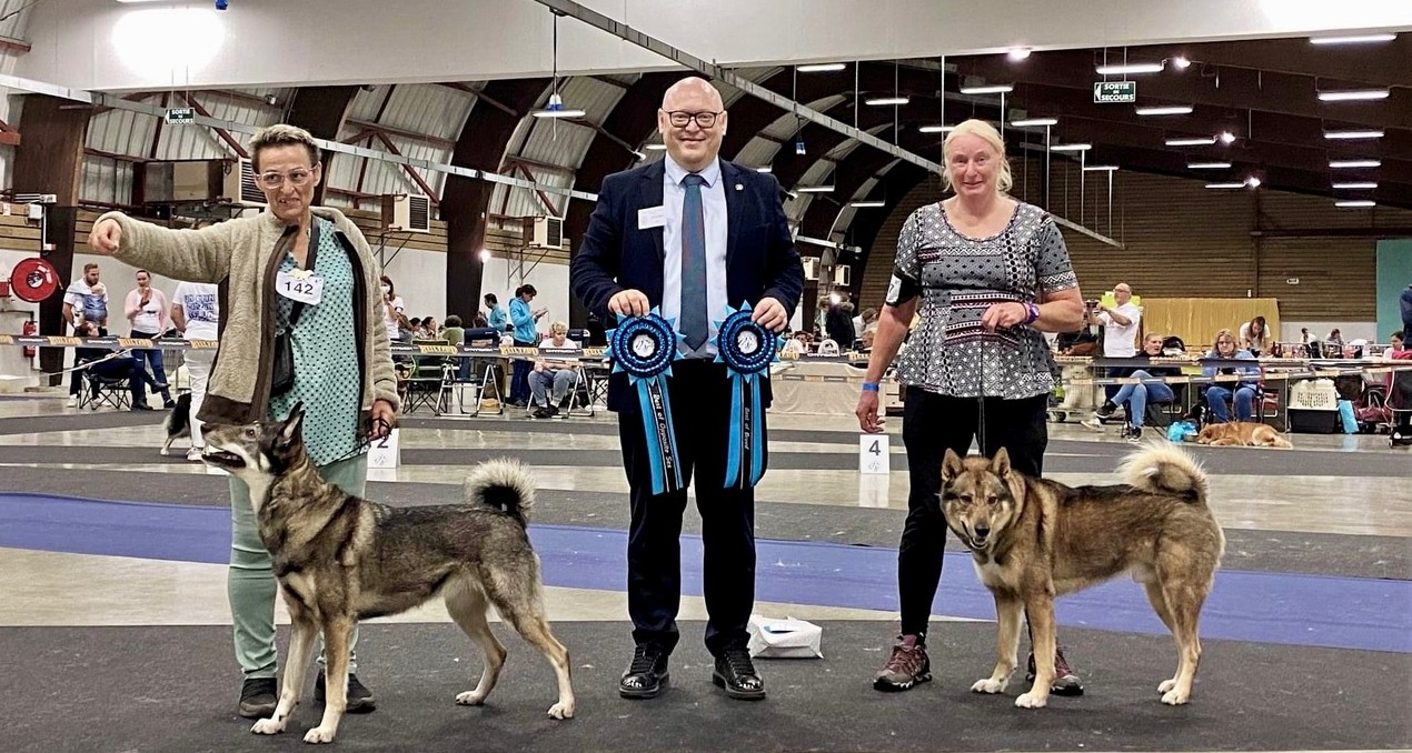 Nationale d'Elevage 2021 Club Français Chien Nordique